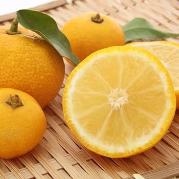 柚① Yuzu Mandarin Orange Grafted Plant Citrus Junos Fruit Tree